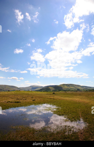 Petit lac près de Brecon Beacons Mountain Centre près du village de Libanus Banque D'Images