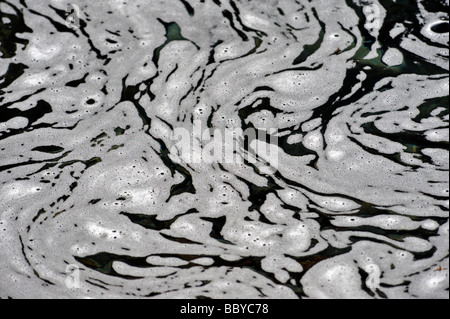 Les modèles en mousse. La Fée des piscines, Allt' Coco a' Mhadaidh Creich, Coire na, Glen cassante, ont profité, Ile de Skye, Ecosse, Royaume-Uni Banque D'Images