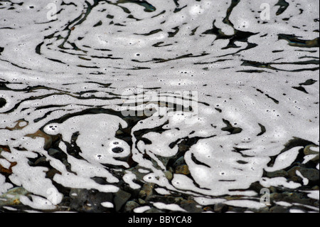 Les modèles en mousse. La Fée des piscines, Allt' Coco a' Mhadaidh Creich, Coire na, Glen cassante, ont profité, Ile de Skye, Ecosse, Royaume-Uni Banque D'Images