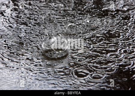 Les gouttes de pluie s'éclabousser dans une flaque d'eau de piscine l'été britannique Banque D'Images