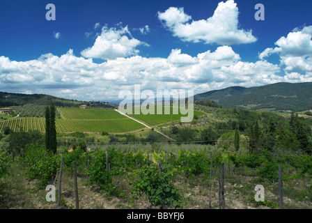 Vignoble et terres agricoles en Toscane, Italie Banque D'Images