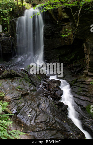 Vitesse d'obturation lente pour capturer la cascade en cascade de Lumsdale Valley dans le Peak District de Derbyshire, Angleterre, Royaume-Uni Banque D'Images