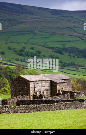 Grange en pierre près de Crowtrees Swaledale Swaledale Muker Yorkshire Dales National Park Banque D'Images