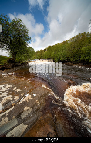 Le Wath Wain Force sous la cicatrice d'Cotterby Swaledale près de Keld Swaledale Yorkshire Dales National Park Banque D'Images