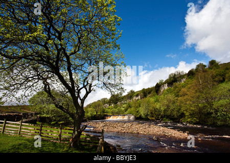 Le Wath Wain Force sous la cicatrice d'Cotterby Swaledale près de Keld Swaledale Yorkshire Dales National Park Banque D'Images