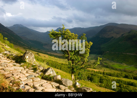 La partie inférieure de la piste de marche jusqu'à Ben Nevis le plus haut sommet Munro en Ecosse à 1344 mètres Banque D'Images