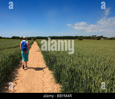Femme d'âge moyen de marcher en pleine campagne. Littlehampton, West Sussex, Angleterre, Royaume-Uni. Banque D'Images