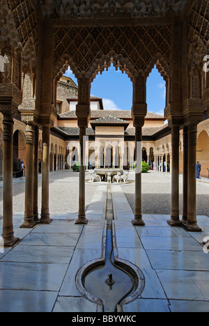 Cour des Lions, à l'Alhambra, Grenade, Andalousie, Espagne, Europe Banque D'Images