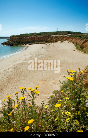 Les plages de La Cala Del Aceite Conil de la Frontera Cadiz Andalousie Espagne Banque D'Images