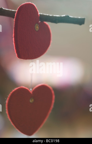 Saint-valentin décoration pendaison de brindille Banque D'Images