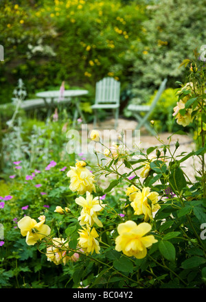 Un coin du jardin à l'amical de la faune des jardins des brindilles de Swindon Wiltshire England UK Banque D'Images