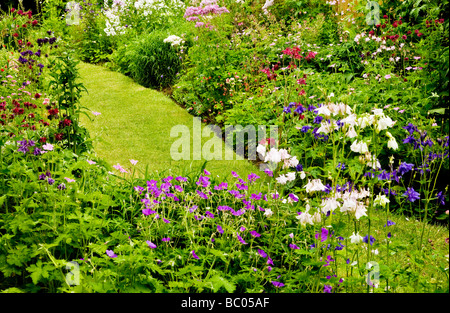 Vivace herbacée Sunny flower border avec Aquilegia géraniums et Sweet Rocket Banque D'Images