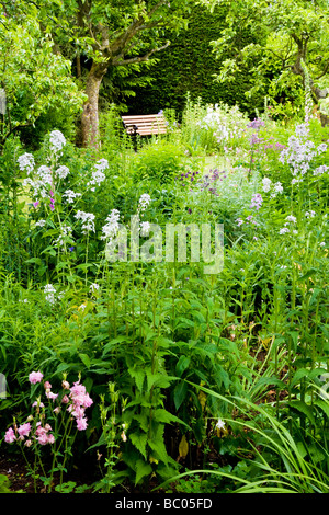 Une scène paisible dans un jardin de campagne anglaise à la fin du printemps au début de l'été Banque D'Images