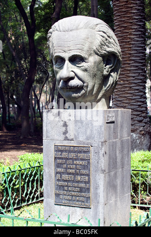 Statue d'Einstein en Parque Mexique, Condesa, Mexico City Banque D'Images