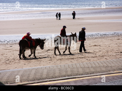 Silhouette d'ânes et les cavaliers sur la plage de Scarborough. Banque D'Images