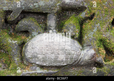 Tortue de pierre à sculpter des animaux, 'Beng Mealea temple des ruines, Angkor, Cambodge Banque D'Images