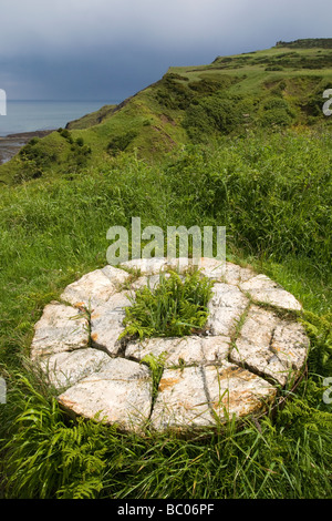 Restes d'une meule en pierre de la pointe de l'Alun fonctionne avec Cliff et dans la mer du Nord Yorkshire Angleterre distance Ravenscar Banque D'Images