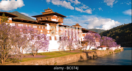 Majestic Punakha Dzong - punakha, Bhoutan Banque D'Images