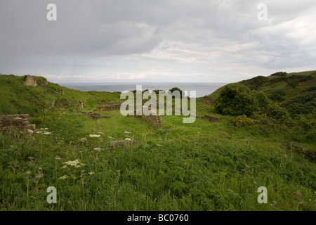 Vestiges de la ruine de l'Alun de pointe fonctionne avec Cliff et dans la mer du Nord Yorkshire Angleterre distance Ravenscar Banque D'Images