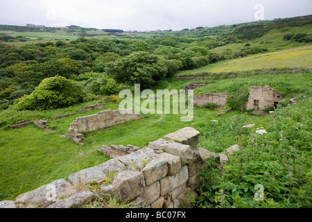 Vestiges de la ruine d'Alun Pic travaille au nord Yorkshire Angleterre Banque D'Images