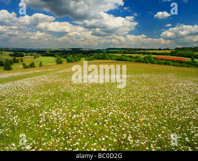 Pays de Lullingstone Parc Kent England UK Banque D'Images