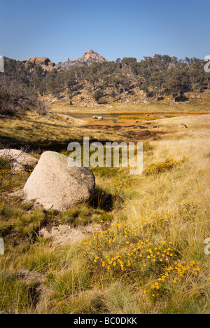 Grass Valley neige sur le mont Buffalo Plateau Banque D'Images