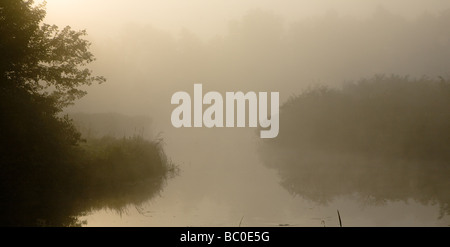 Matin brumeux sur le lac paisible avant le lever du soleil à Bialowieza Parc Palace Banque D'Images