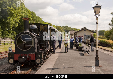 Les touristes attendant de monter à bord de la machine à vapeur à voie étroite à Welshpool Station sur la ligne de chemin de fer léger Llanfair Banque D'Images