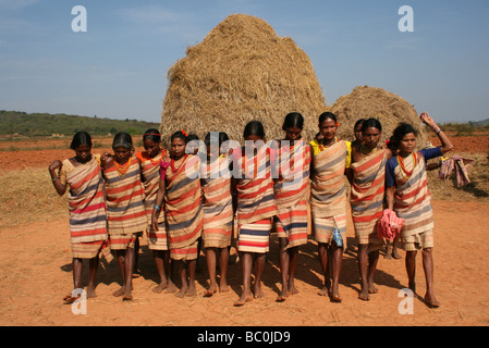 Les femmes de la tribu Gadaba Danse traditionnelle Banque D'Images