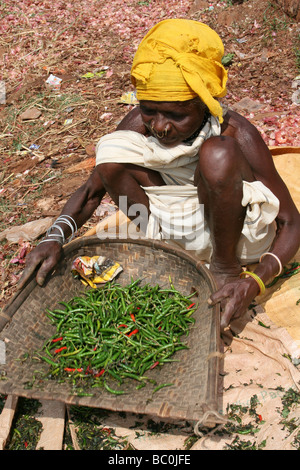 Tribu Paroja Tri Femme Chilis, Orissa, Inde Banque D'Images