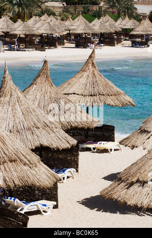 Des parasols en paille sur une plage bordée de palmiers en Egypte Banque D'Images