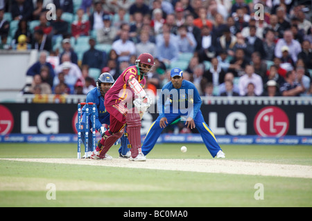 Shivnarine Chanderpaul les chauves-souris au cours de l'ICC World Twenty20 demi-finale entre le Sri Lanka et Antilles du Brit Oval. Banque D'Images