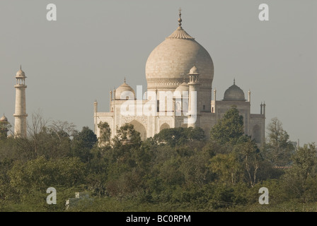 Taj Mahal, Agra, Uttar Pradesh, Inde Banque D'Images