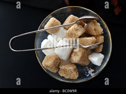 Morceaux de sucre et des pinces dans un bol dans un salon de thé à Brighton, UK Banque D'Images