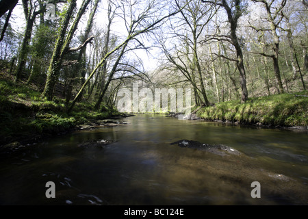 River Camel, Dunmere Banque D'Images