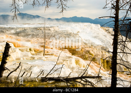 Vue panoramique de Mammoth Hot Springs dans le Parc National de Yellowstone Banque D'Images