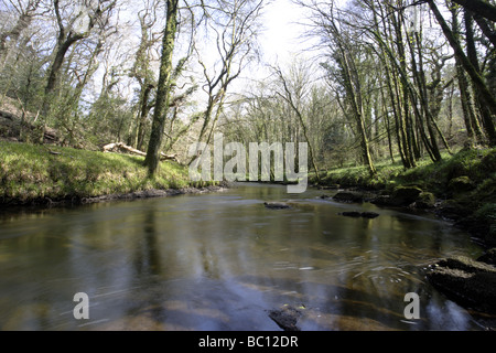 River Camel, Dunmere Banque D'Images