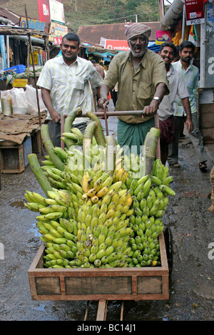 L'homme indien poussant le panier rempli de grappes de bananes prises à Munnar, Kerala Marché Banque D'Images