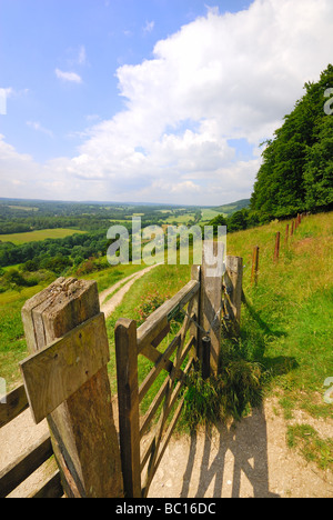 North Downs près de Dorking Banque D'Images