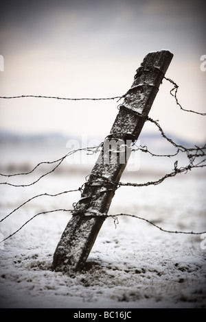 Vieux poteau de clôture et de barbelés dans la neige. Banque D'Images