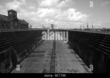 Dock Thompson dans le chantier naval Harland and Wolff, Queen's Island, Belfast, Irlande du Nord, Royaume-Uni Banque D'Images