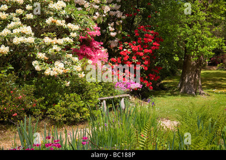 Exbury Jardins Botaniques ornementales dans le Hampshire, au Royaume-Uni Banque D'Images