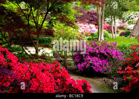 Exbury Jardins Botaniques ornementales dans le Hampshire, au Royaume-Uni Banque D'Images