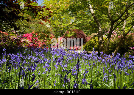 Exbury Jardins Botaniques ornementales dans le Hampshire, au Royaume-Uni Banque D'Images