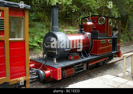 Talyllyn Railway locomotive no 2 olgoch «' debout à Abergynolwyn. Banque D'Images