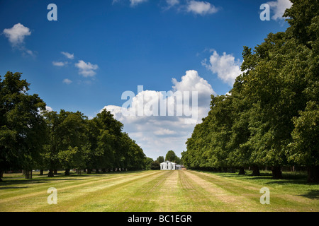 Avenue de lime et Blanc Lodge Bushy Park Middlesex Hampton Court Banque D'Images