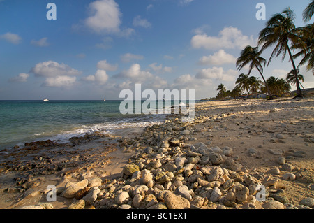 La plage de Maria La Gorda, Pinar del Rio, Cuba Banque D'Images