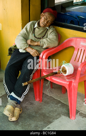 Personnes âgées buddhist dormir sur un fauteuil. Le Tso-Pema ogyen Heru-kai Nyingmapa Gompa (monastère). Rewalsar. L'Himachal Pradesh. L'Inde Banque D'Images