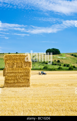 Vue sur champ de blé et Hackpen Hill Cheval Blanc dans le Wiltshire England UK Banque D'Images