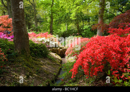 Exbury Jardins Botaniques ornementales dans le Hampshire, au Royaume-Uni Banque D'Images